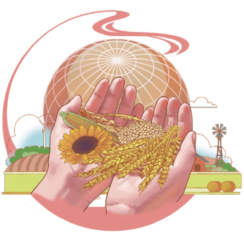 Russia-Ucraina Conflitto per colpire il 25% del mercato globale del grano: funzionario ucraino